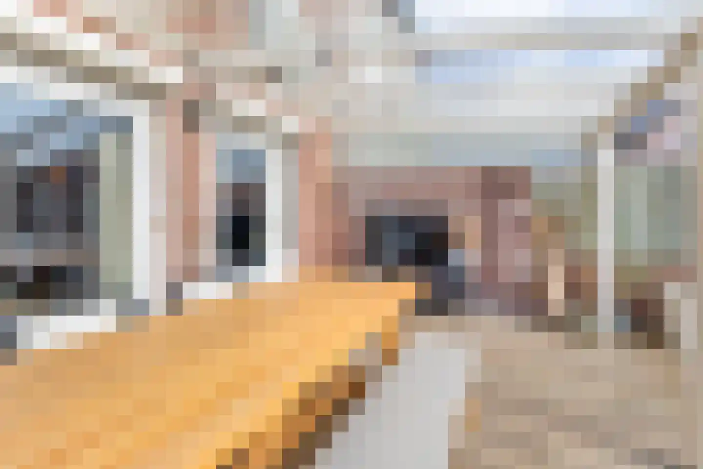 Lisdodde 60 Tegelen thumbnail 15