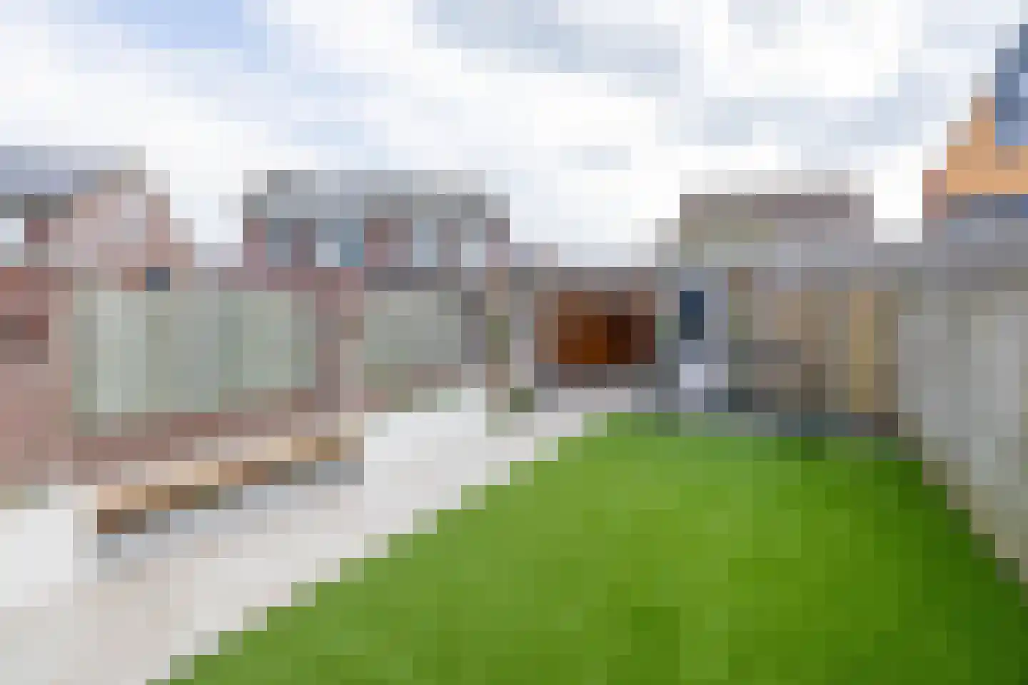 Lisdodde 60 Tegelen thumbnail 16