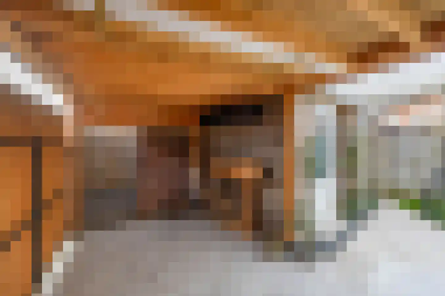 Lisdodde 60 Tegelen thumbnail 19