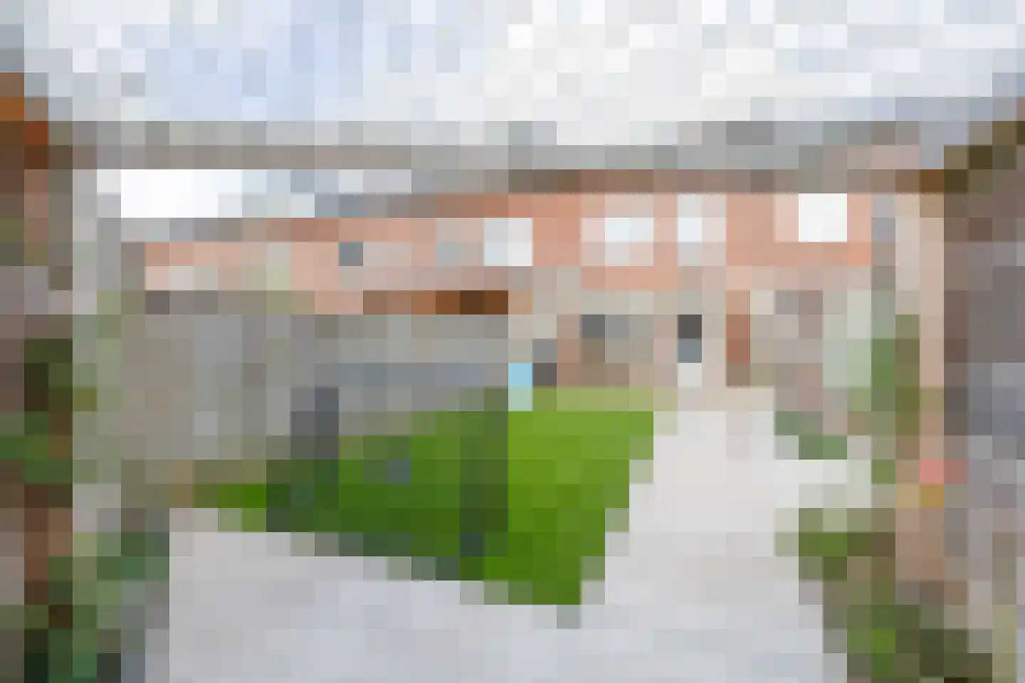Lisdodde 60 Tegelen thumbnail 20