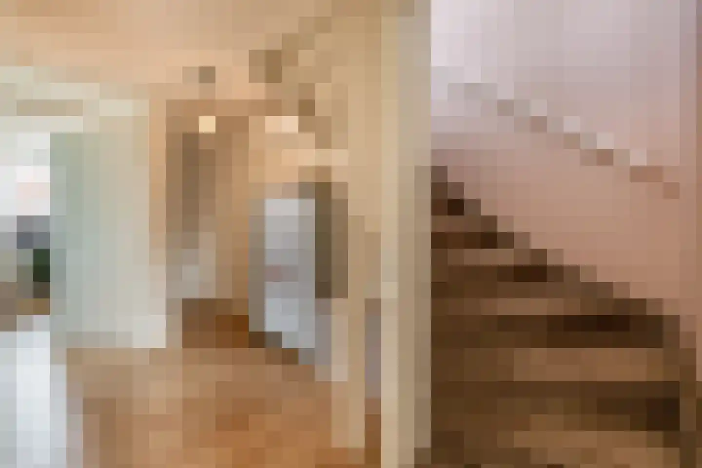 Lisdodde 60 Tegelen thumbnail 21
