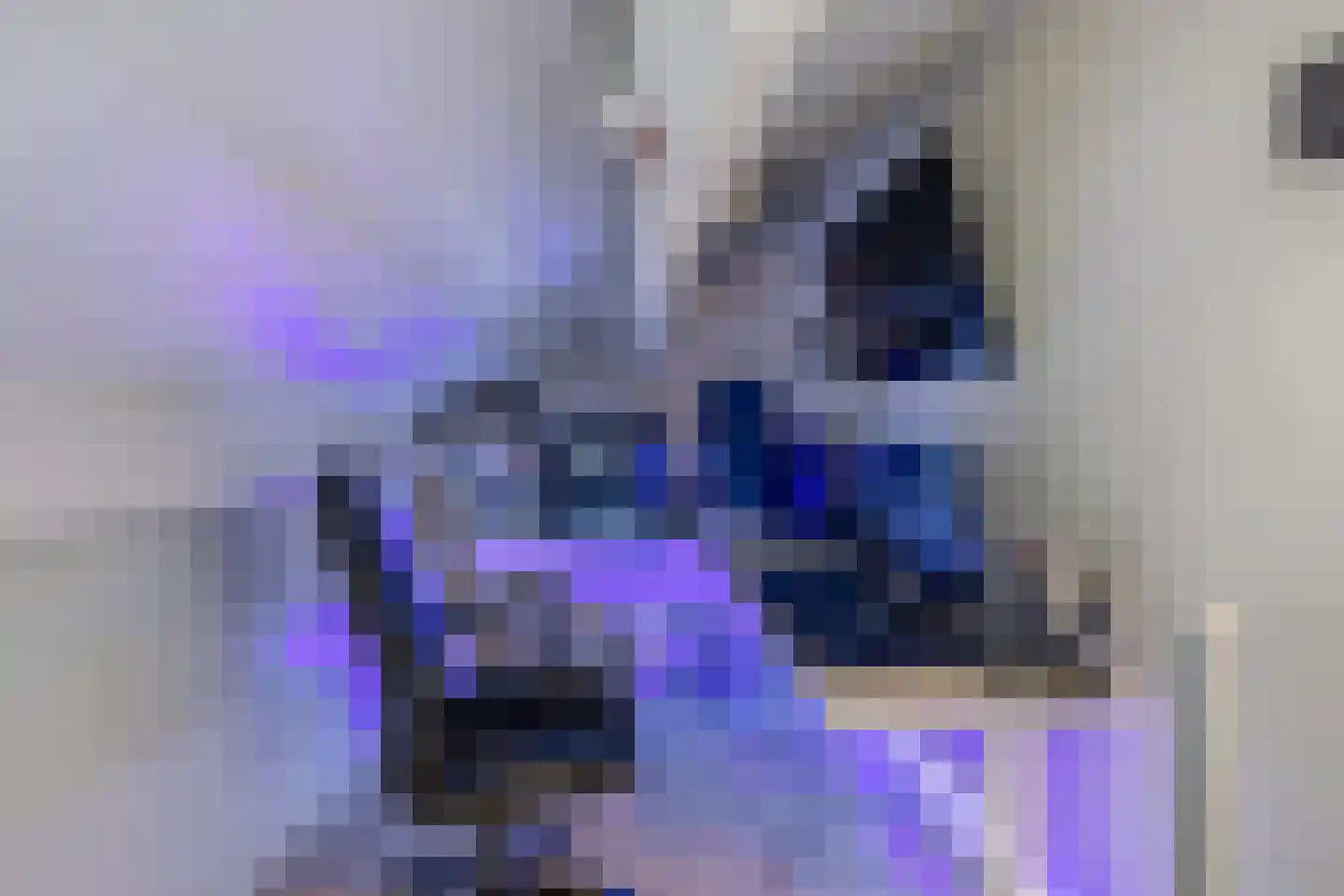 Lisdodde 60 Tegelen thumbnail 31