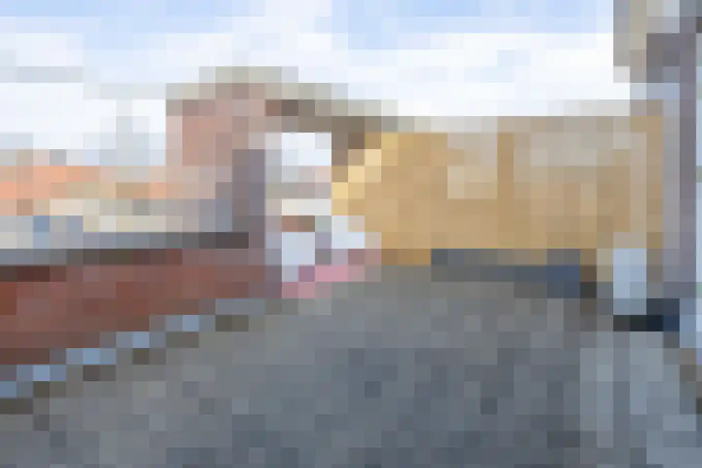 Lisdodde 60 Tegelen thumbnail 32