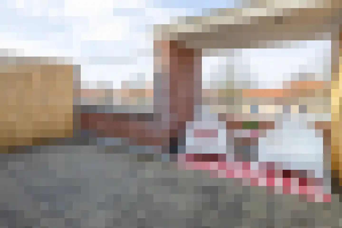 Lisdodde 60 Tegelen thumbnail 33