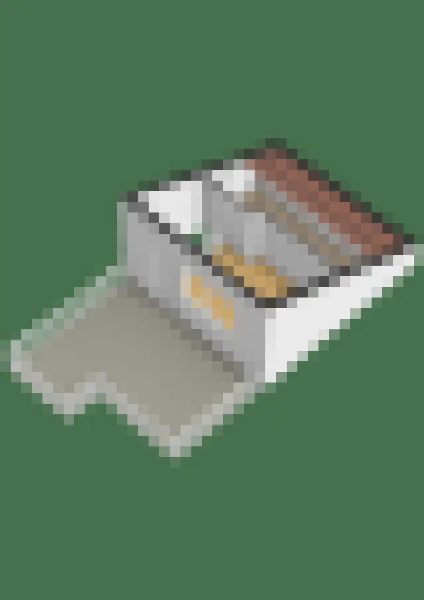 Lisdodde 60 Tegelen thumbnail 42