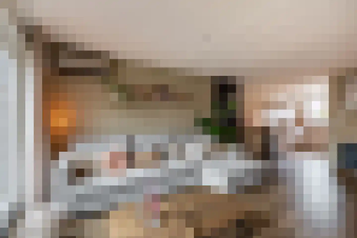 Lisdodde 60 Tegelen thumbnail 6