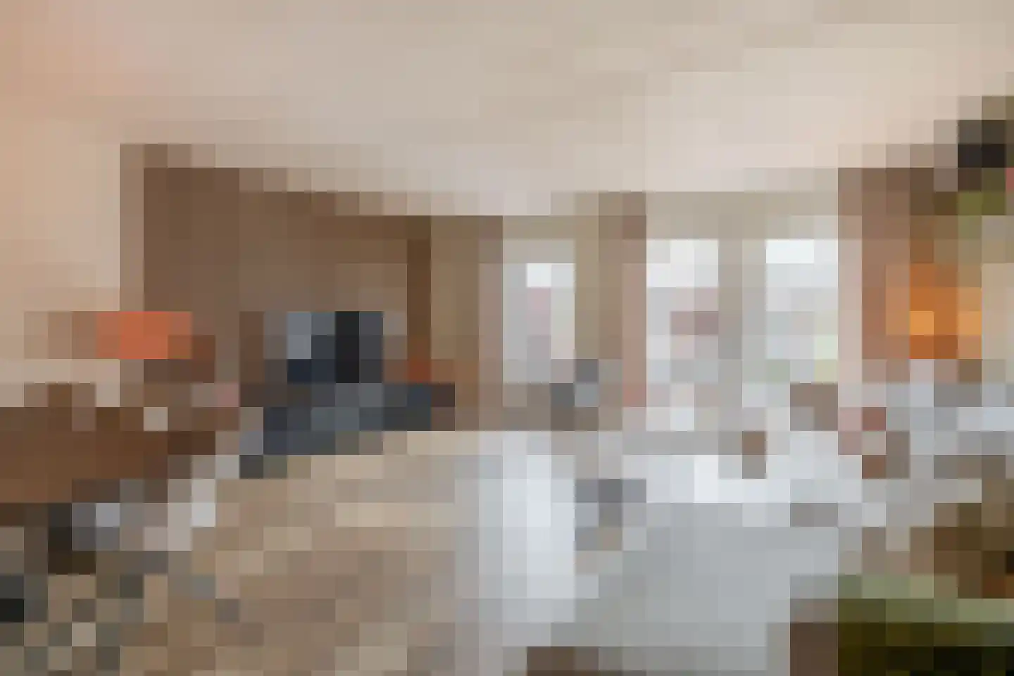 Lisdodde 60 Tegelen thumbnail 8