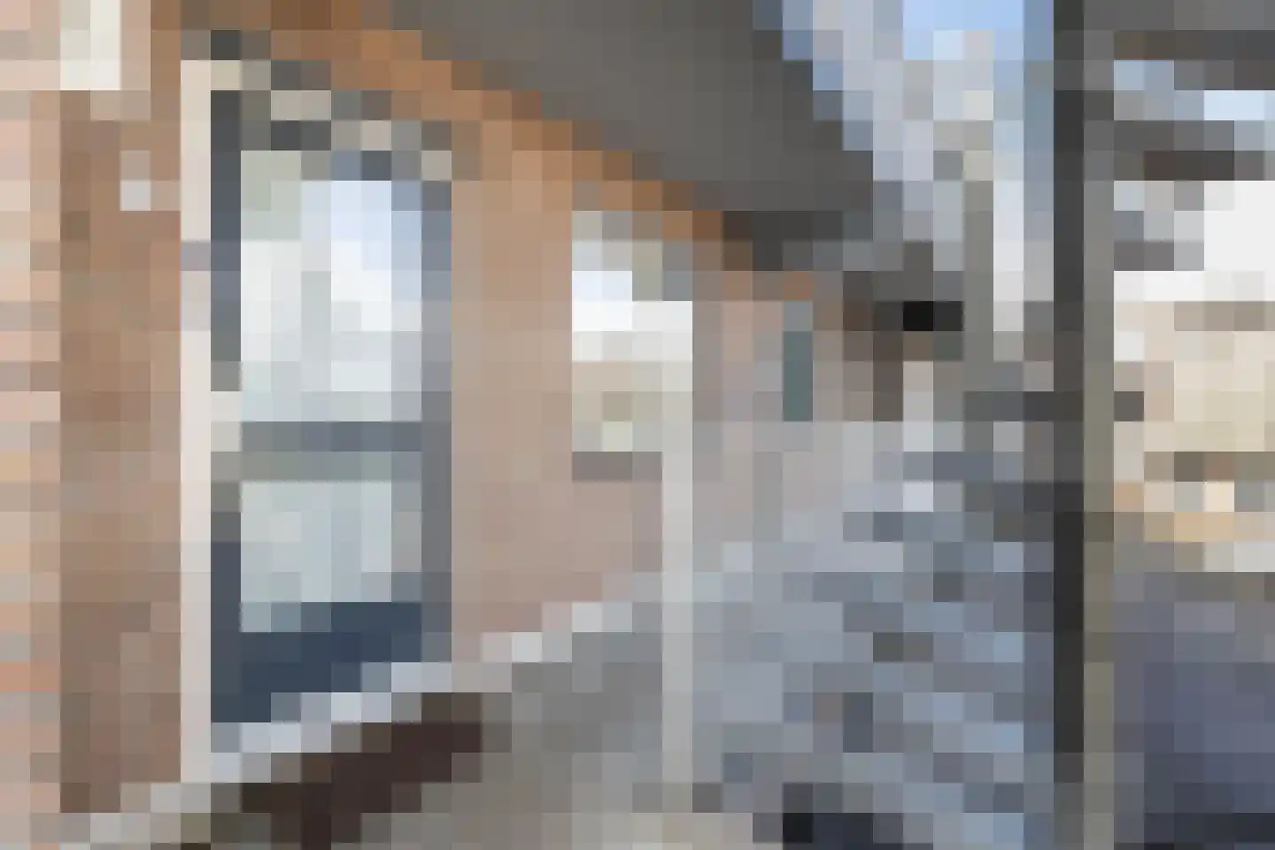 Lisdodde 62 Almelo thumbnail 17
