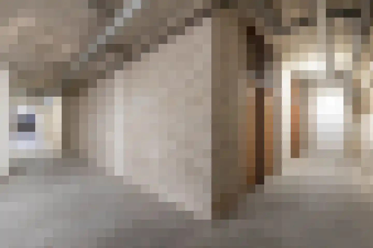 Lisdodde 62 Almelo thumbnail 18