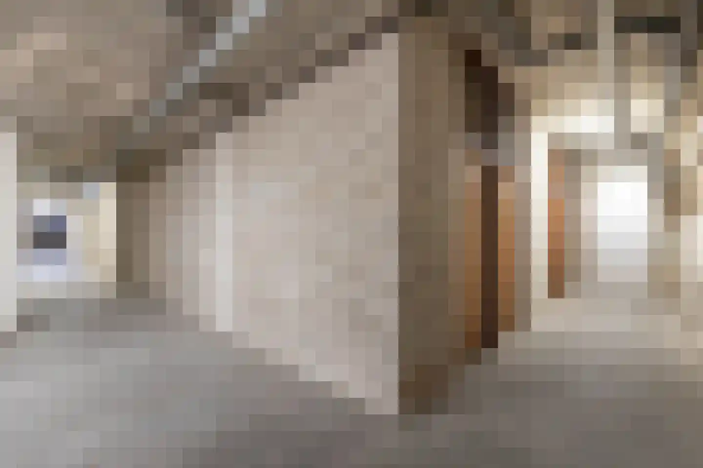 Lisdodde 62 Almelo thumbnail 19
