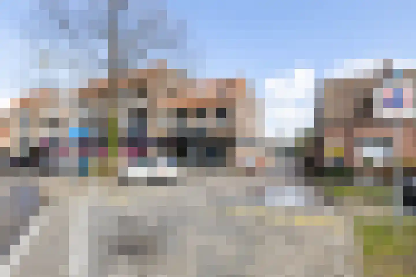 Lisdodde 62 Almelo thumbnail 21