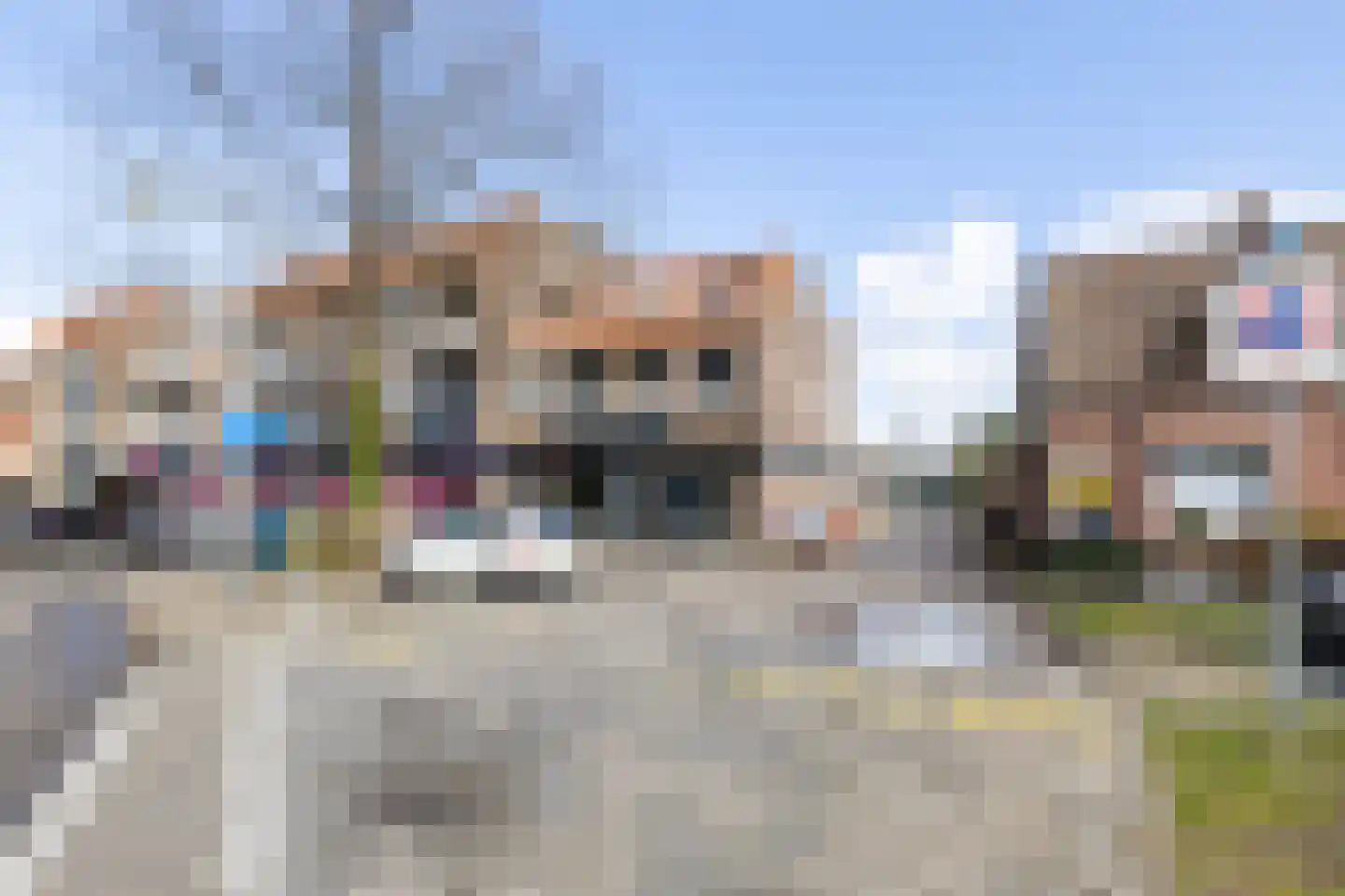 Lisdodde 62 Almelo thumbnail 22