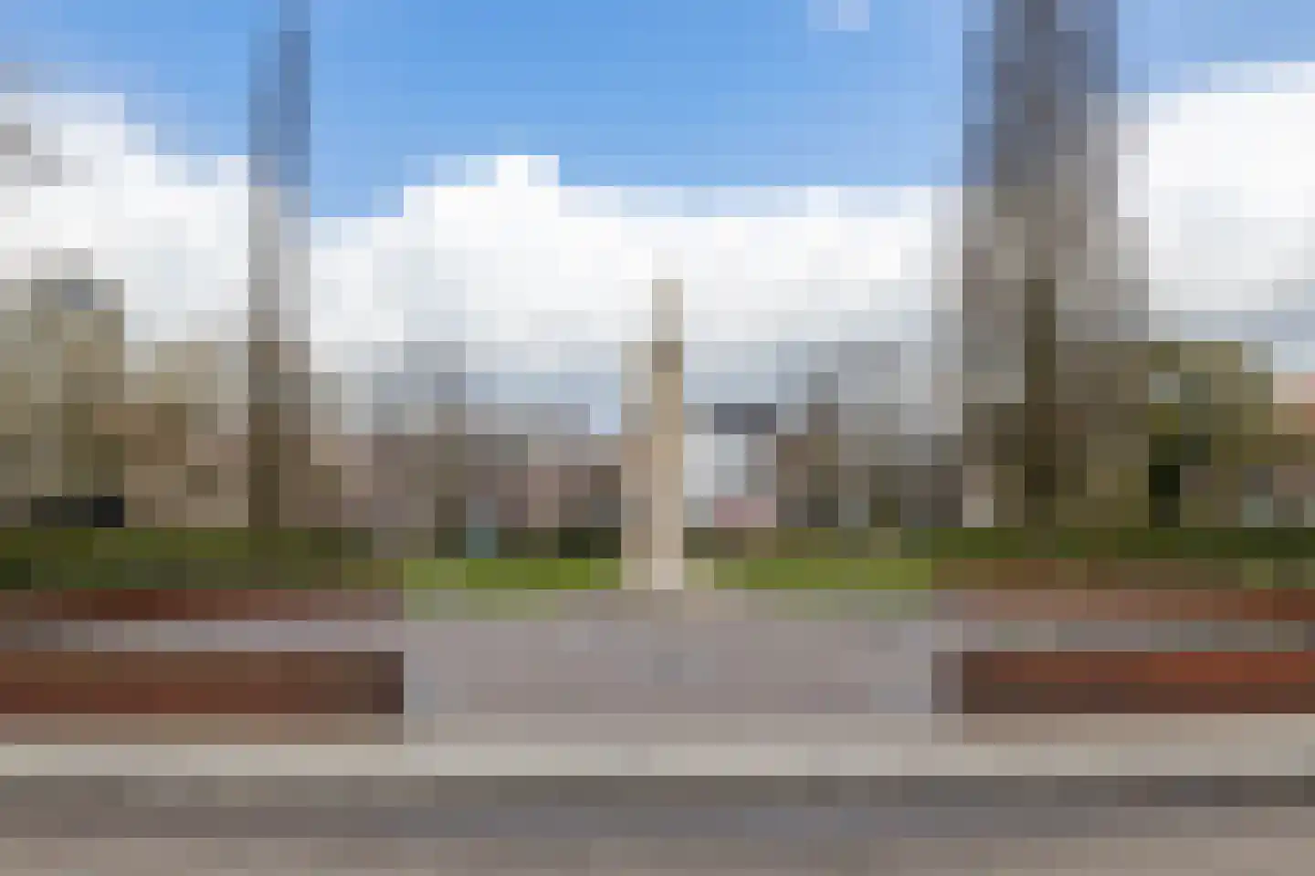 Lisdodde 62 Almelo thumbnail 23