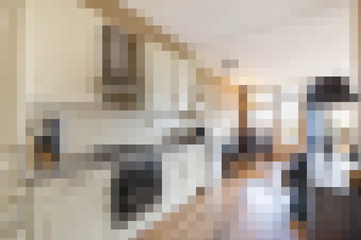 Lisdodde 62 Almelo thumbnail 5