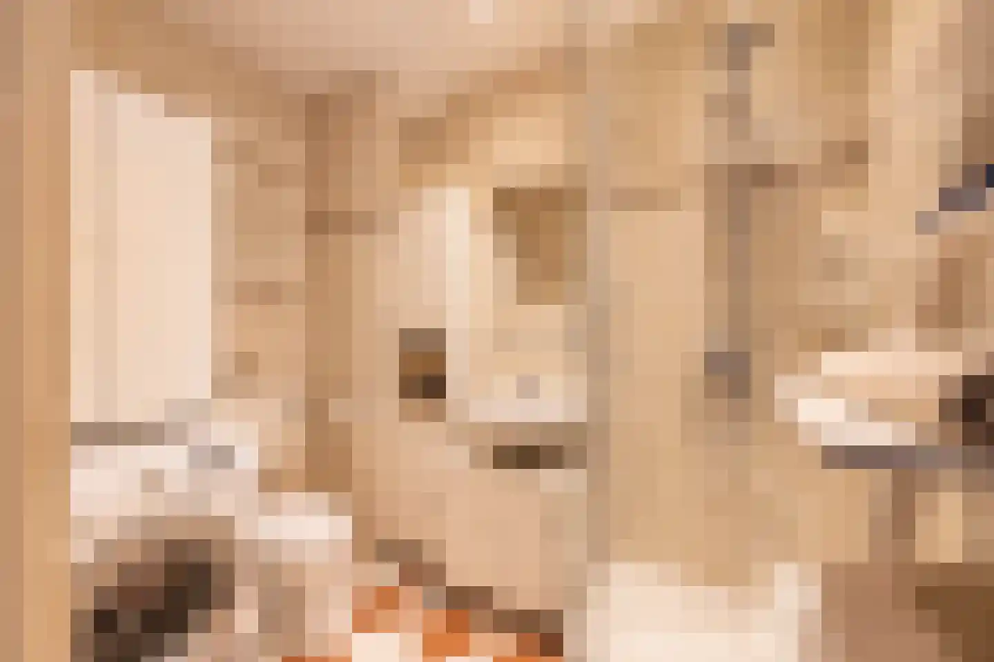 Lisdodde 62 Almelo thumbnail 6