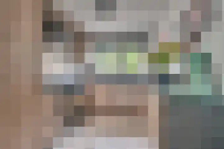 Lisdodde 62 Tegelen thumbnail 10