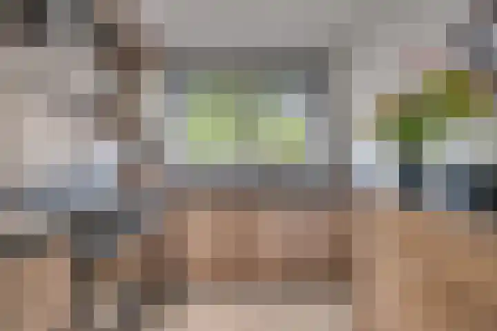 Lisdodde 62 Tegelen thumbnail 11