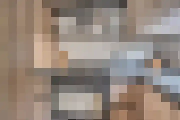 Lisdodde 62 Tegelen thumbnail 12