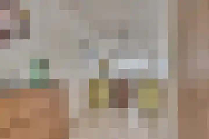 Lisdodde 62 Tegelen thumbnail 13