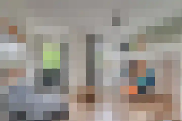 Lisdodde 62 Tegelen thumbnail 14