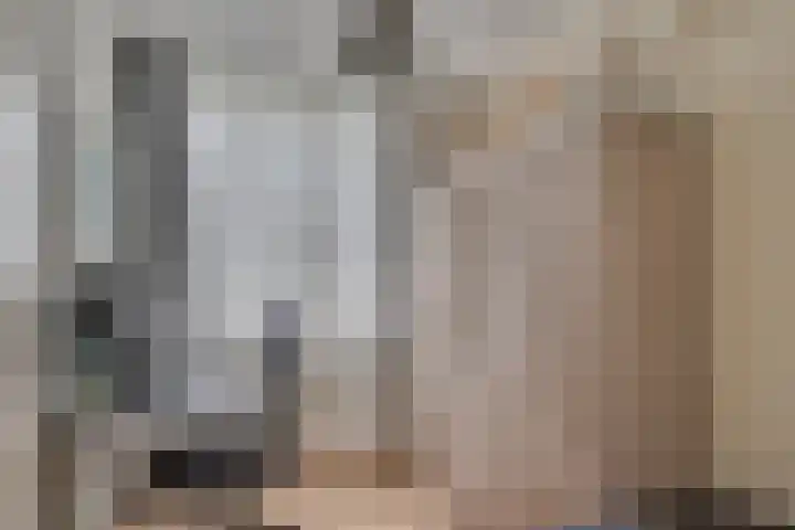 Lisdodde 62 Tegelen thumbnail 20