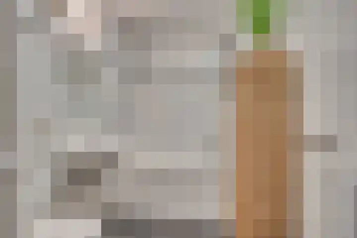Lisdodde 62 Tegelen thumbnail 22