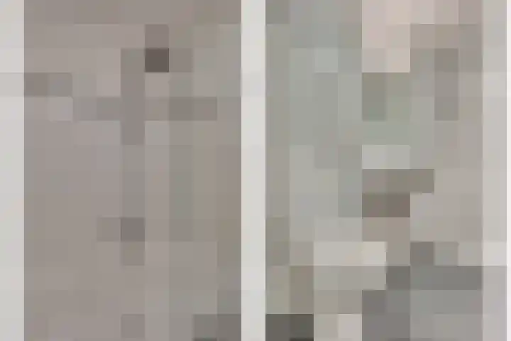 Lisdodde 62 Tegelen thumbnail 24