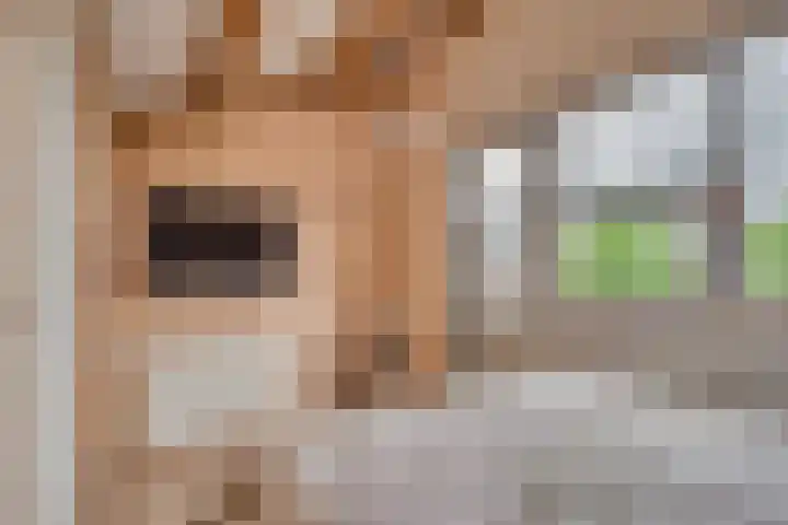Lisdodde 62 Tegelen thumbnail 28