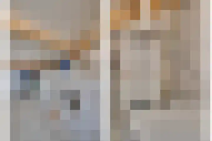 Lisdodde 62 Tegelen thumbnail 29