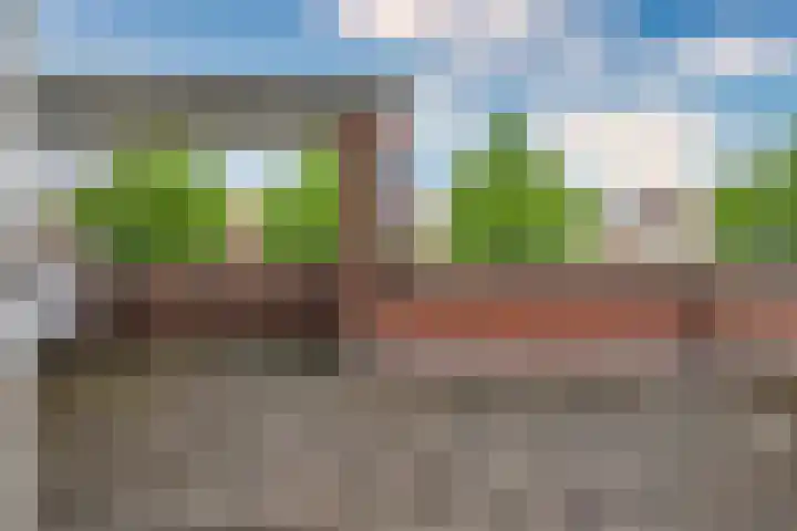 Lisdodde 62 Tegelen thumbnail 30