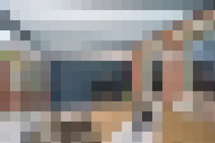 Lisdodde 62 Tegelen thumbnail 34