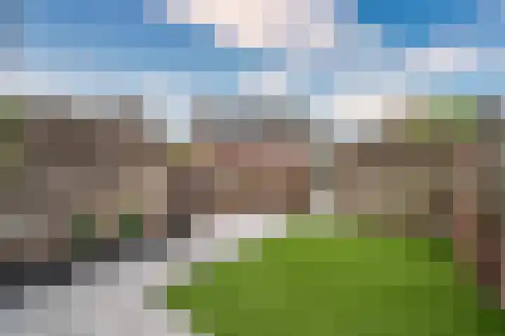 Lisdodde 62 Tegelen thumbnail 35