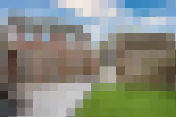 Lisdodde 62 Tegelen thumbnail 36