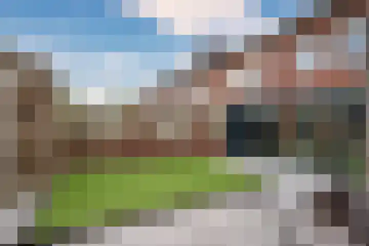 Lisdodde 62 Tegelen thumbnail 38