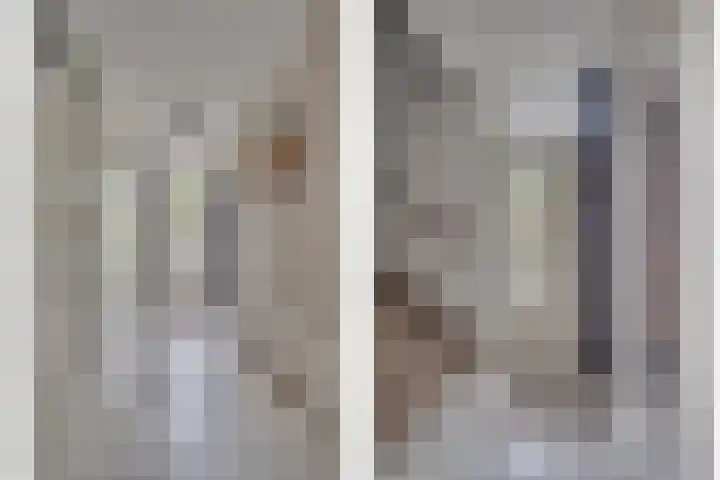 Lisdodde 62 Tegelen thumbnail 4