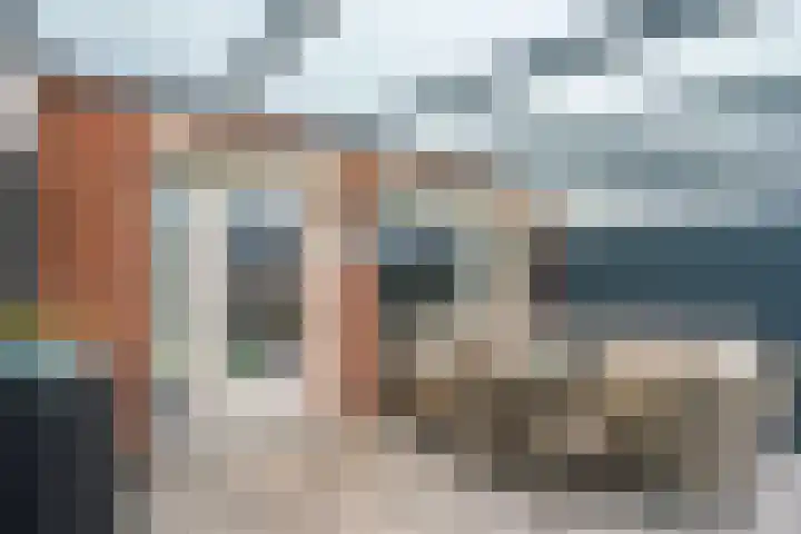 Lisdodde 62 Tegelen thumbnail 40