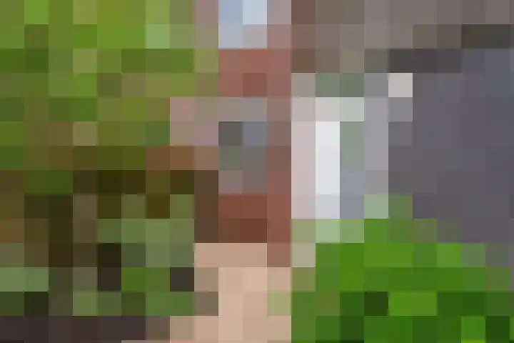 Lisdodde 62 Tegelen thumbnail 41