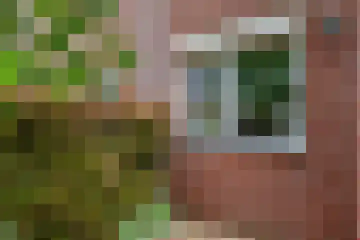 Lisdodde 62 Tegelen thumbnail 42