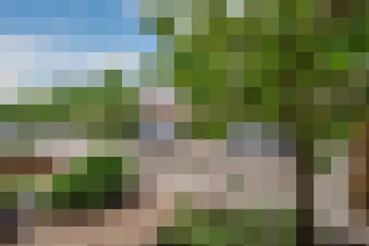 Lisdodde 62 Tegelen thumbnail 43