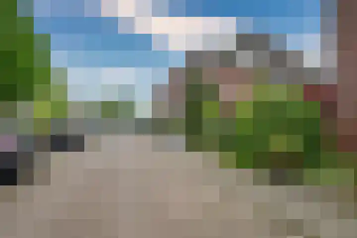 Lisdodde 62 Tegelen thumbnail 44