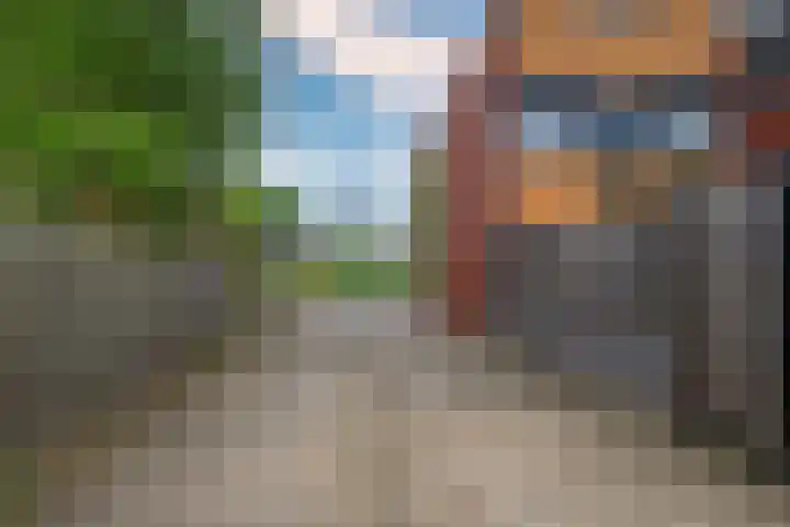 Lisdodde 62 Tegelen thumbnail 46