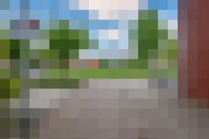 Lisdodde 62 Tegelen thumbnail 47