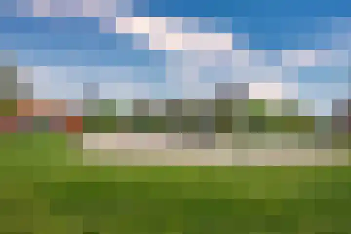 Lisdodde 62 Tegelen thumbnail 48
