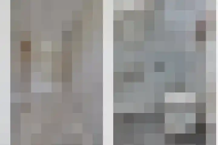Lisdodde 62 Tegelen thumbnail 5