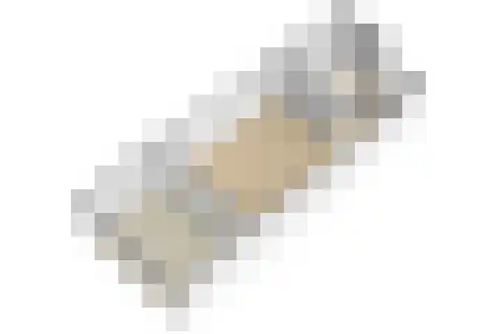 Lisdodde 62 Tegelen thumbnail 50