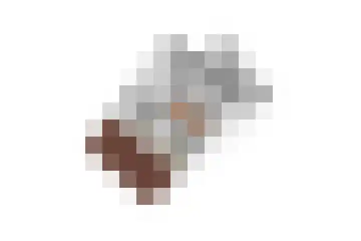 Lisdodde 62 Tegelen thumbnail 56