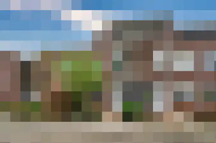 Lisdodde 62 Tegelen thumbnail 57