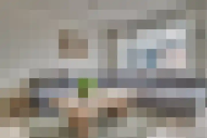 Lisdodde 62 Tegelen thumbnail 6