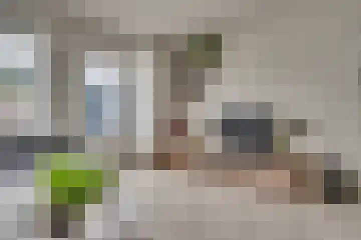 Lisdodde 62 Tegelen thumbnail 7