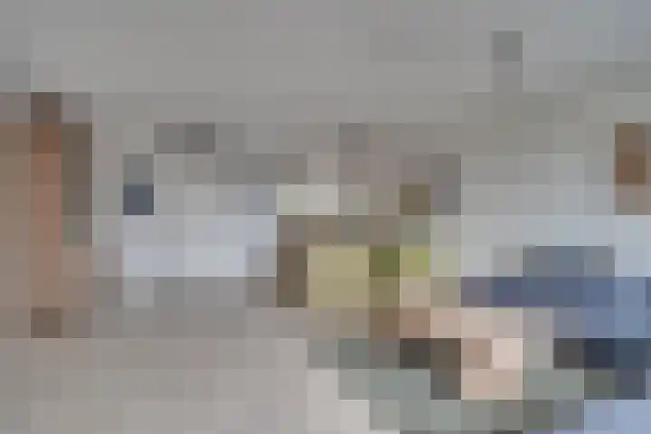 Lisdodde 62 Tegelen thumbnail 8